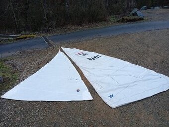 Plachty -kosatka gena