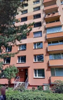 Byt 1+1 s balkónem, šatnou, komorou na chodbě a sklepem