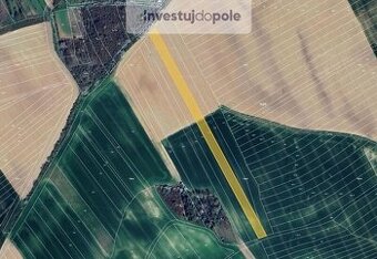 Prodej pole v k.ú. Hýsly - 1