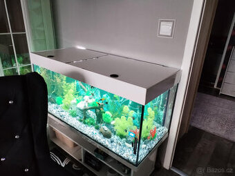 Prodám komplet 300l akvárium