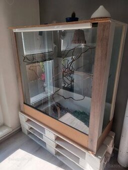 Terarium zdarma