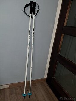Hůlky HEAD SL 115cm