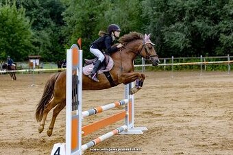 Prodám pony klisnu kat. A