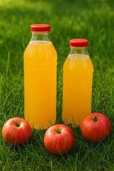 Prodám domácí mošt