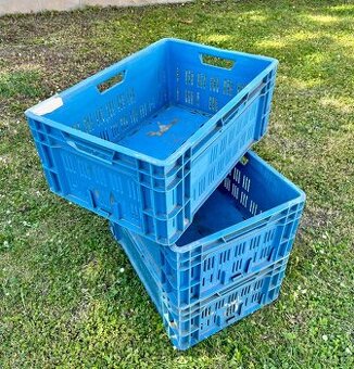 Koupím holandské přepravky velikost H