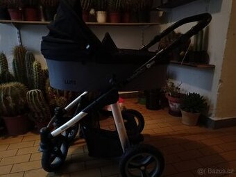 Baby design Lupo