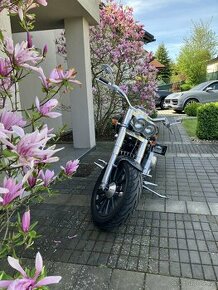 Harley-Davidson FLSTC