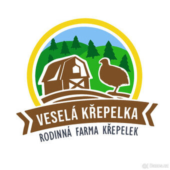 Texas Brojler Křepelky (USA) - Vejce do líhně - NOVINKA