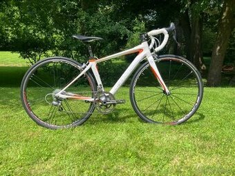 Cannondale Synapse carbon vel. XS