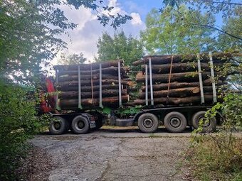 Tvrdé palivové dřevo