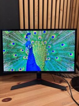 LCD monitor LG C24RG50