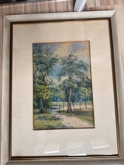 Prodám obraz- Janské Lázně 1893