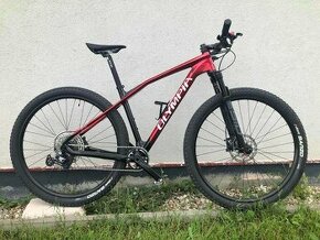 Olympia Iron PRO size M - 1