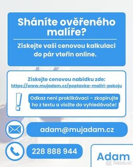 Sháníte ověřeného malíře?
