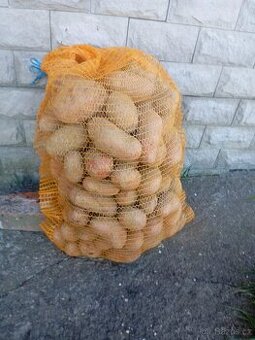 Brambory na uskladnění