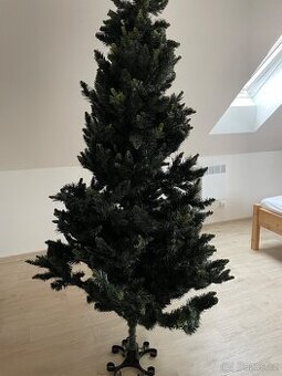 Prodám Vánoční stromek