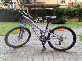 Kolo Spelialized Hotrock 24