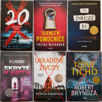 Číslo 20, Tajemství pomocnice, Skryté karty, Ti druzí