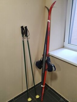 Běžky GSS 190cm 500Kč, hůlky 145cm 400Kč