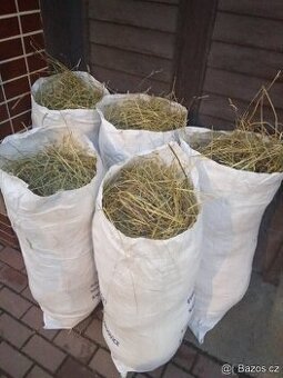 Seno v pytlich pro morčata a králíky