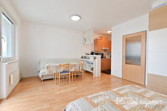 Podnájem bytu 1+kk, Francouzská, Zábrdovice,  14.000 Kč/měs,