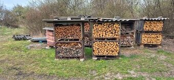 Bedny na dřevo
