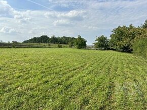 Prodej stavebního pozemku, Obec Králíky - Chmelovice