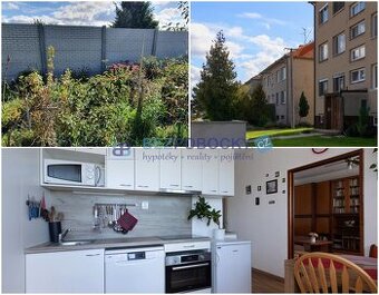 Byt 3+1 se zahradou, Velké Bílovice