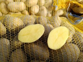 PRODEJ VELMI kvalitních brambor odrůdy ANTONIE - 1