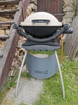 gril Weber - 1