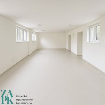 Pronájem komerčních prostor 57 m2, Střekov, Ústí nad Labem