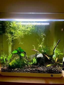 Akvárium 30 l