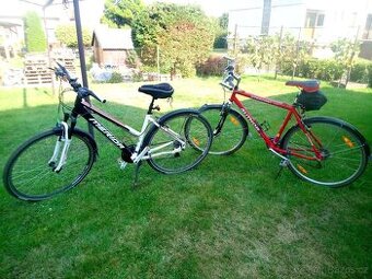 Kola AUTHOR a MERIDA