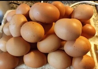 Domácí vajíčka