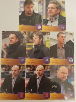 Hokejové karty- OFS 2010/2011