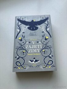 v zajetí zimy - Naomi Noviková