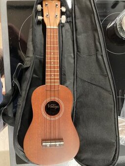 Ukulele pro začátečníky