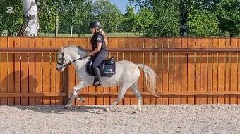 Dva WPB pony
