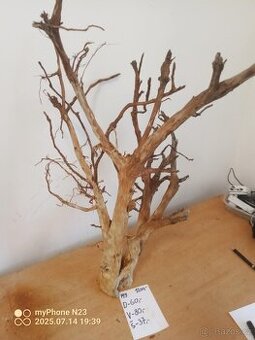 Bonsai kořeny do aquaria / Terraria