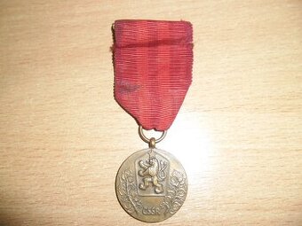 vyznamenání - Za službu vlasti