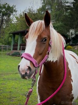 Koupím westernové sedlo na pony kobylku