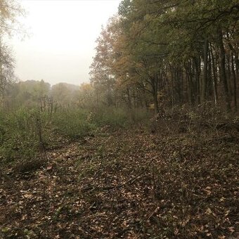 Prodej ostatní pozemky, 5 142 m² - Cvikov - Lindava - 1