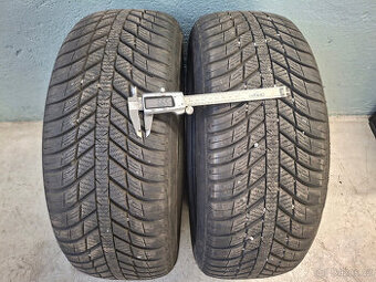 CELOROČNÍ PNEU NEXEN 205/55R16