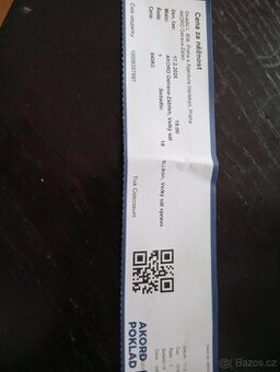 Cena za něžnost - Simona Stašová,