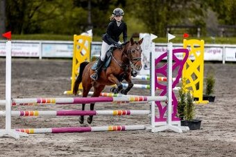 Pony do sportu