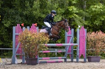 Pony do sportu