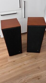 Bang&Olufsen Beovox 3000