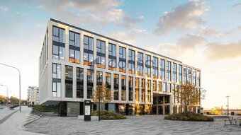 Pronájem ordinace 627 m² Italská, Praha 2 - Vinohrady