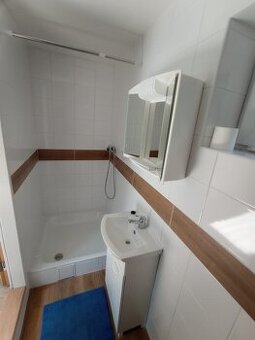 BEZ PROVIZE RK. Pronajmu atelier 1kk se zahrádkou Praha 10