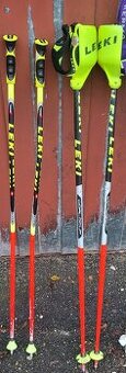 Lyžařské hůlky dětské